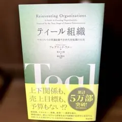 イラスト解説 ティール組織 新しい働き方のスタイル