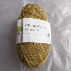 Chameleon Camera 毛糸 09