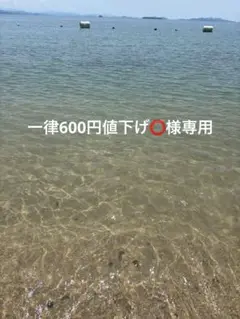一律600円値下げ⭕️専用