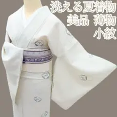 Y3498◇美品 薄物 小紋 洗える夏着物