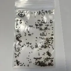 狂刺 スーパー バッテリー 実生 太刺 鉢植えメルカリ便送料込み 2025年最新】一本刺バッテリーの人気アイテム - メルカリ