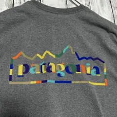 Patagonia パタゴニア Responsibili-Tee Tシャツ