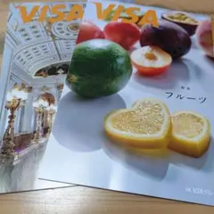 VISA　情報誌　5+6月号　9+10月号　2冊セット