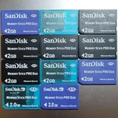 SanDisk Memory Stick PRO Duo 2GB 11個セット