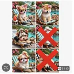 確認パネル