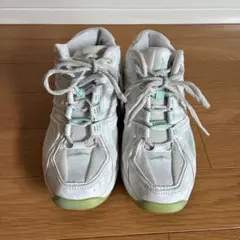 アビアフィットネスシューズ　23.5cm