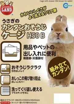 Item thumbnail for item 63718dd8-35aa-46ab-ac8d-8169329a5f58