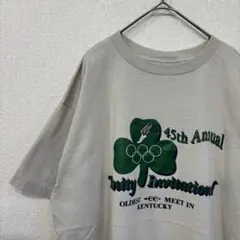 フルーツオブザルーム　tシャツ プリント　ロゴ　アメリカ古着　XL 2439