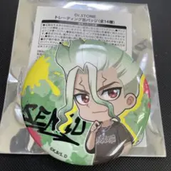 Dr.STONE せんくう　缶バッジ
