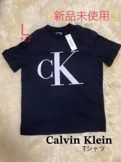 ★新品★カルバンクライン　ブラックTシャツ Ｌサイズ メンズTシャツ