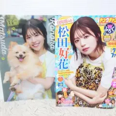 ヤングチャンピオン No.18 松田好花 付録クリアファイル付き 漫画雑誌