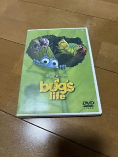 バグズライブ　DVD