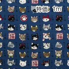 ラスト2点 特価 1m 猫図鑑 ネイビー オックス