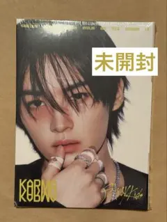 未開封 スキズ リノ KARMA