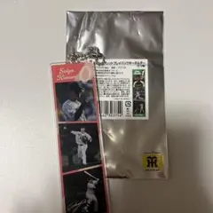 阪神タイガース　シークレット　木浪聖也