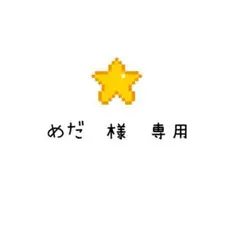 めだ様　専用　ビーズまとめ売り