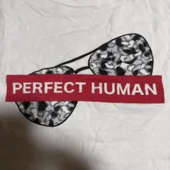パーフェクトヒューマン　Tシャツ Perfet human オリエンタルラジオ
