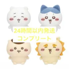 Item thumbnail for item b03b31ae-0974-4528-a13f-6e4dca5d1684