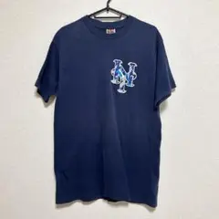 ネイビー Tシャツ Mサイズ フルーツオブザルーム サタンアルバイト