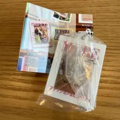 ガチャ　集英社雑誌コレクション　アクリルチャーム MORE