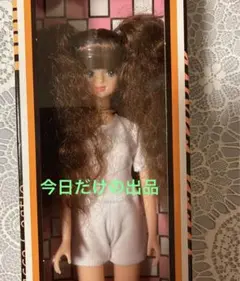 未開封リカちゃんキャッスル●2014年日本橋BASICモデル みらいv4