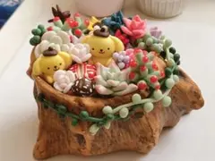 まこちゃん