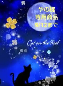 やの様 リクエスト 3点 まとめ商品
