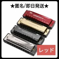 Item thumbnail for item 80a3f2a1-a75d-4b6c-82b9-2dbab3ff8f04