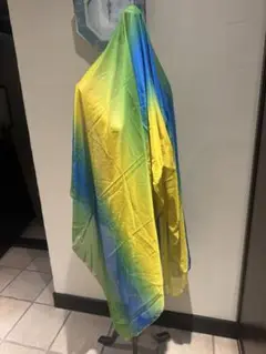 Item thumbnail for item 5601133b-c528-40b2-a691-1de94987bfd0