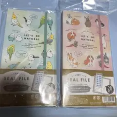 Item thumbnail for item 0b2f88b5-5d05-424e-97b8-9041ed29bd8f