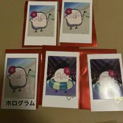 Crazy Raccoon CRフェス2025 チェキ　おぼ　obo