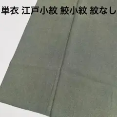 着物 単衣 江戸小紋 鮫小紋 正絹 珍色 紋なし やまと誂え U-8385