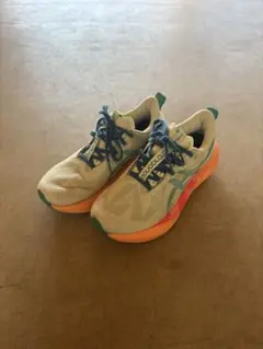 アシックス　NOVABLAST 5 ノヴァブラスト5 26.0m