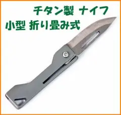 Item thumbnail for item 32ad1523-2e60-45f1-9705-3e985deaeb9c