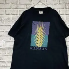 USA製90sヴィンテージTシャツ！シングルステッチ　ブラック半袖古着L716