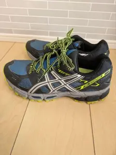 Item thumbnail for item 839c3b6d-7b0a-4134-afd2-ff106c2d0431