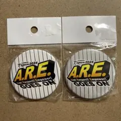 阪神タイガース A.R.E. 2024 缶マグネットセット 2個セット