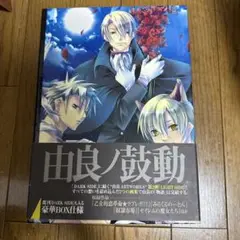 ♢ 由良 ARTWORKS フルカラーイラスト集