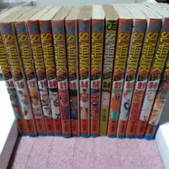 SLAM DUNK 14巻 16〜17巻　19〜22巻 24〜31巻
