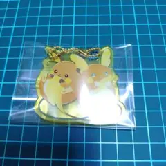 ポケモン にたものどうし アクリルチャーム ライチュウ＆アローラライチュウ 1点