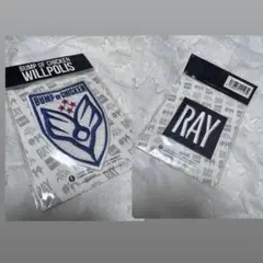 BUMP WILLPOLIS エンブレム　RAY ワッペン　二枚セット