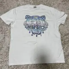 Item thumbnail for item 4d96d793-7ab8-4542-aec5-20c312ae3156