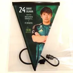松本山雅 ハッピーくじ限定 マッチデーガーランド 24番 小川大貴選手 非売品