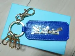 Item thumbnail for item 4092acc3-e535-43be-9da2-175e24136d7a