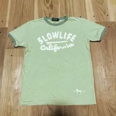 Labrador Retriever ラブラドールレトリバー リンガーTシャツM