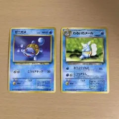 ゼニガメ　わるいカメール