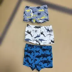 ミスミスさん専用　恐竜・魚柄トランクスセット 100cm〜