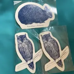 フクロウ　うさぎ　絵はがき