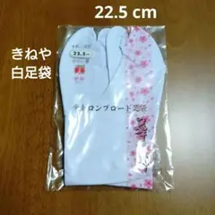 Item thumbnail for item ee056764-e4f0-4234-85a1-71622251332f