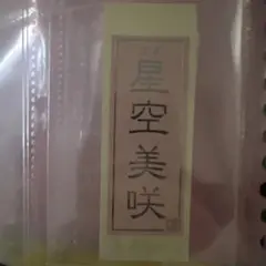 Item thumbnail for item 944befa2-4d31-42b8-a3d1-14f19ef31dc5